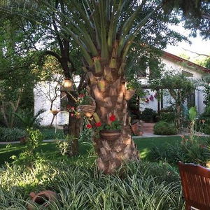 Hotel Hotel Happy Caretta cazare Dalyan