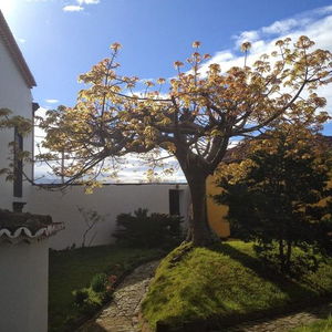 Hotel Casa Das Calhetas cazare Calheta
