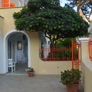 Sejur Hotel Polito vacanta Forio