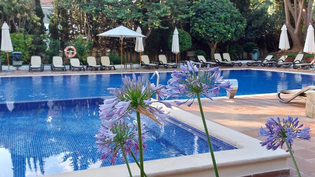 dal travel Hotel Oberoy - Adults Only