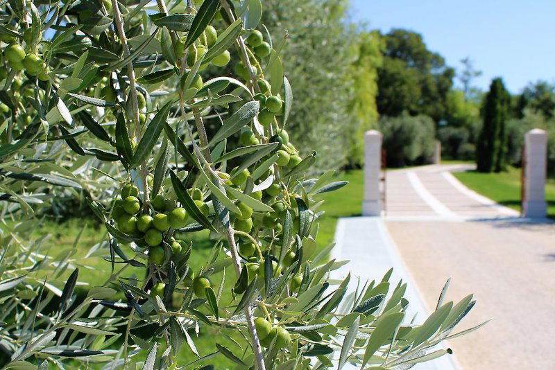 Hotel Borgo Romantico Relais