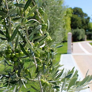 Sejur Borgo Romantico Relais vacanta Cavajon Veronese