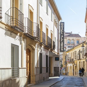 Hotel Hotel Macià Alfaros cazare Cordoba