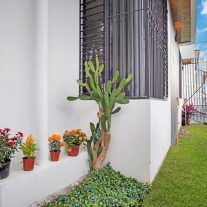 Hotel Casa Bellavista cazare San Jose