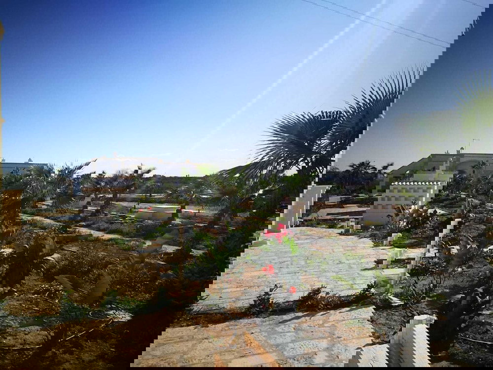 Hotel Agriturismo Mascava Di Torre Guaceto