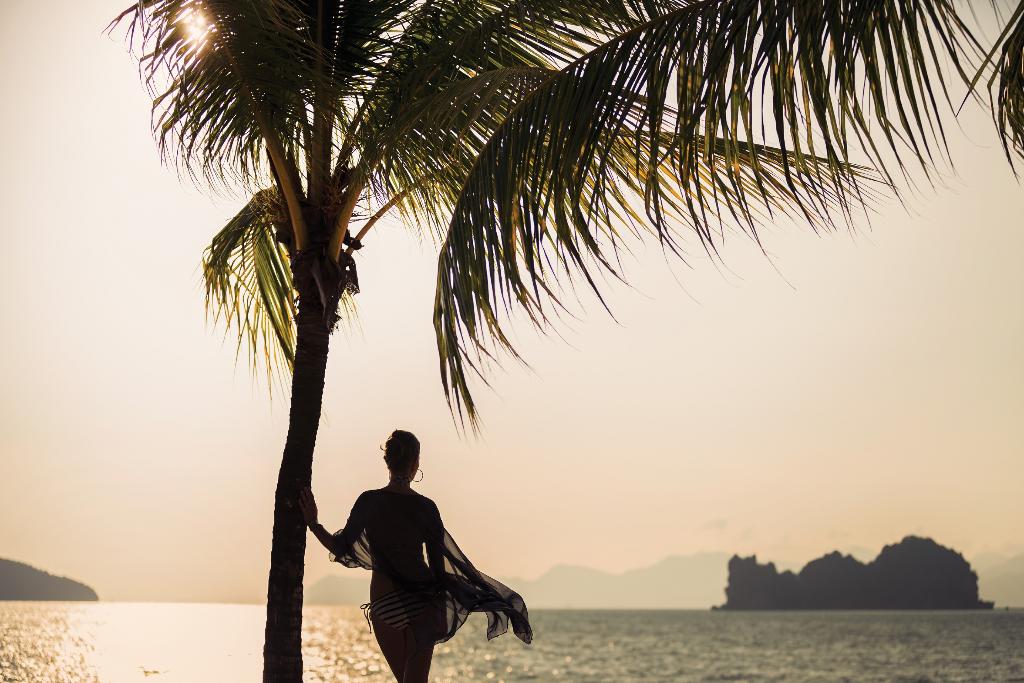 Hotel Four Seasons Resort Langkawi