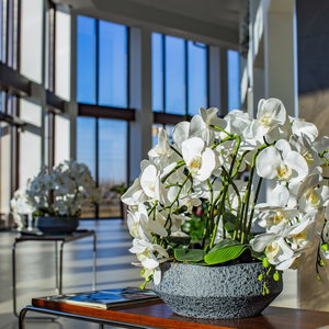 Hotel Sulo Hotel cazare Atyrau