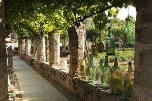 Hotel Masseria Torre Coccaro cazare Fasano
