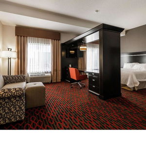 Hotel Hampton Inn & Suites By Hilton Lethbridge cazare Lethbridge