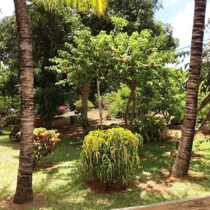 Hotel Residence With 6 Seafront Bungalows And Swimming cazare Grand Gaube