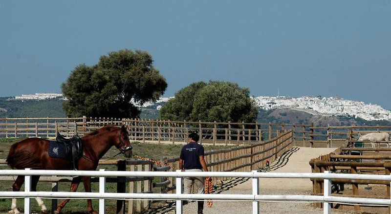 Hotel Casa Rural Cortijo El Indiviso