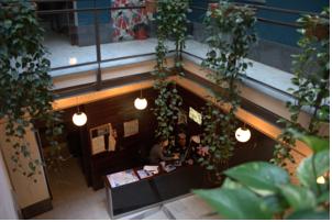 Hotel Oasis Backpackers Hostel Sevilla