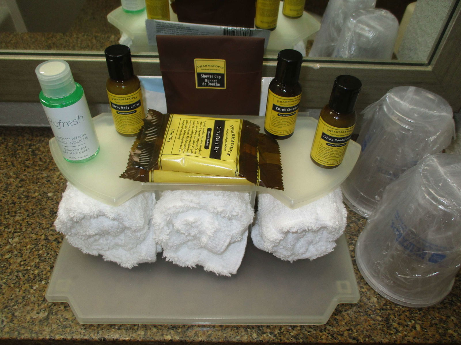 Hotel Best Western Plus Indianapolis Nw Hotel