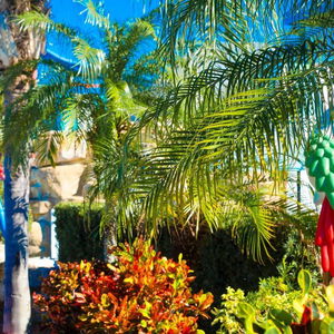 Hotel Ramada By Wyndham Hotel & Water Park cazare Kissimmee