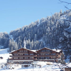Hotel Hotel Le Grand Chalet Gstaad cazare Gstaad