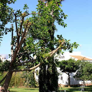 Hotel Riad Dar Achaach cazare Tetouan