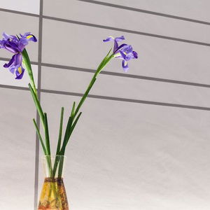 Sejur Palazzo Dei Ciompi vacanta Mississippi