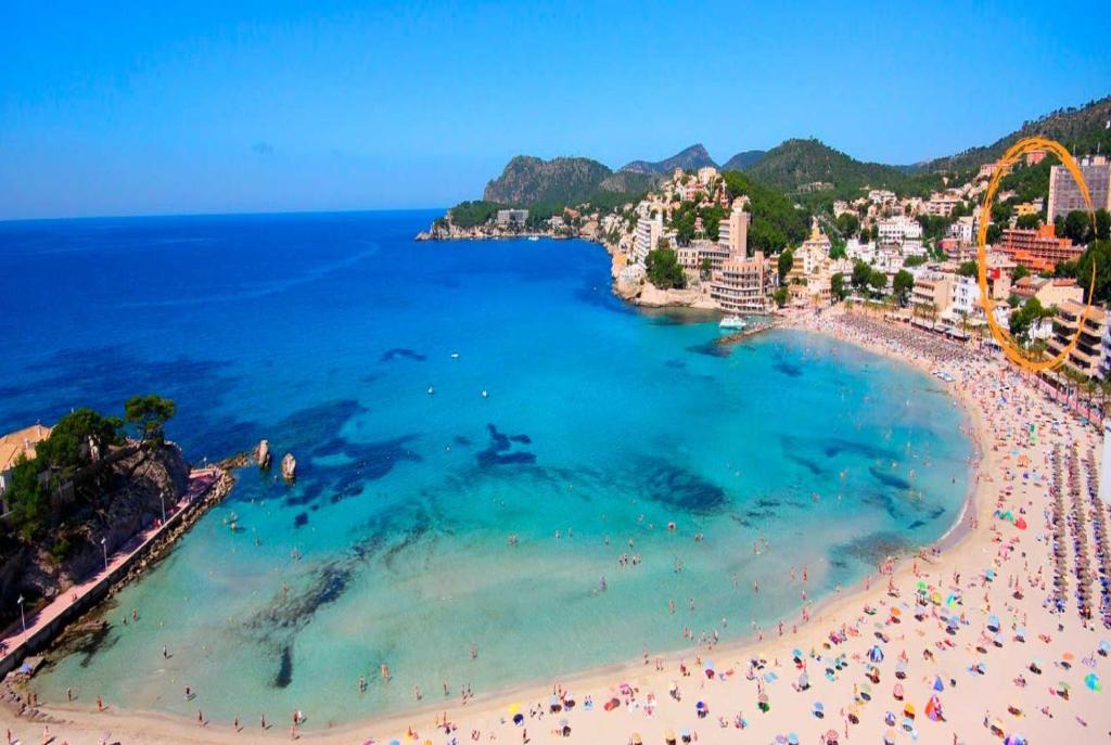 dal travel Aparthotel Y Hotel Paguera Beach