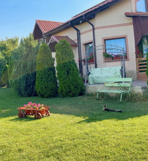 Hotel Casa Lac De Verde cazare Baltenii de Sus