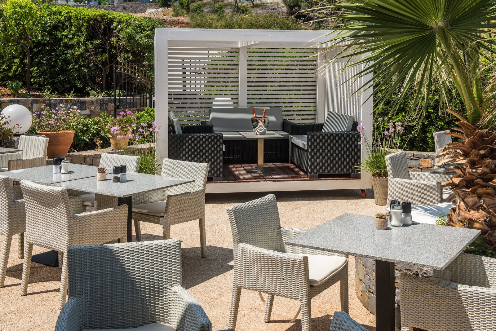 dal travel Matheo Hotel Villas & Suites Crete