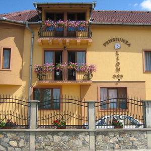 Hotel Pensiunea Lion cazare Sibiu