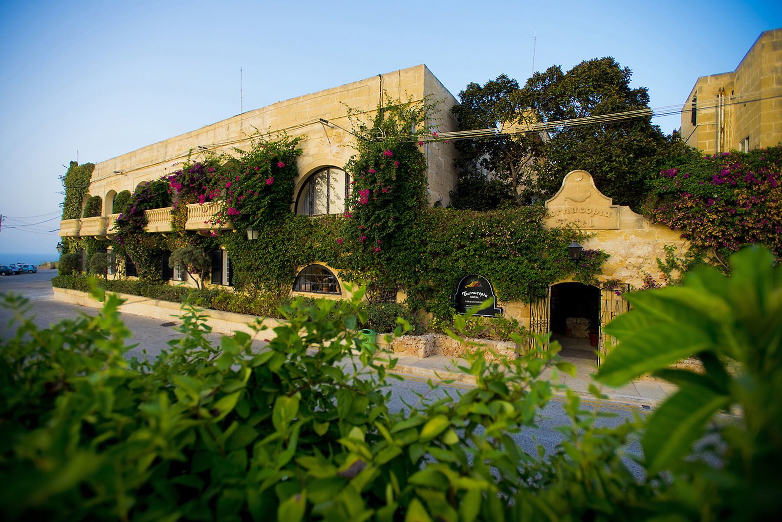 Cornucopia Hotel