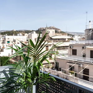 Hotel Pame Wild cazare Georgia