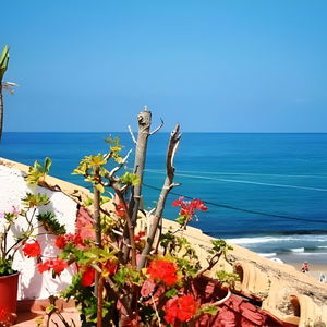 Hotel Romantic Palace cazare Agios Gordios
