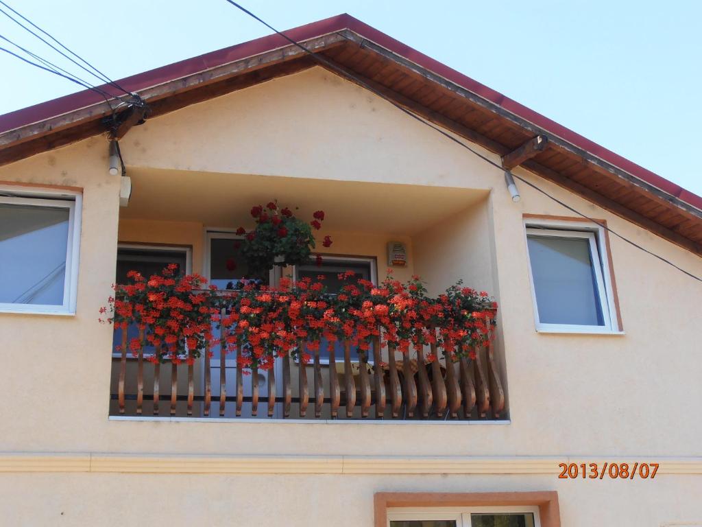 Casa Doma'r Alina