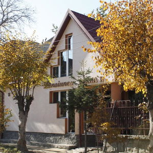 Hotel Casa Doma'r Alina cazare Sibiu