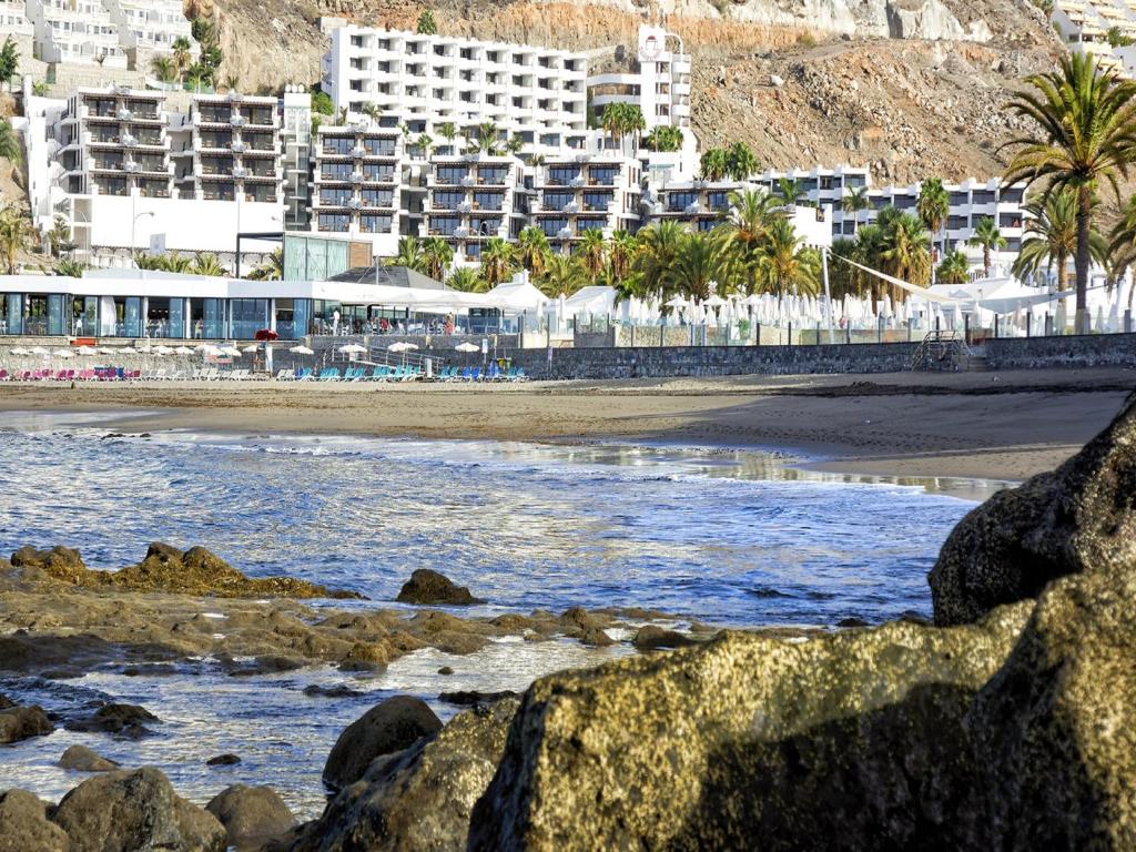 Idyll Suites