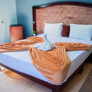 Hotel Cairo Paradise Hotel cazare Clinton