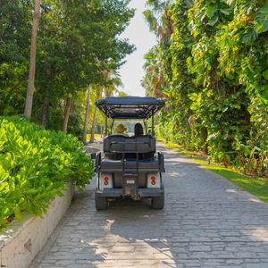 Hotel Grand Oasis Tulum Riviera cazare Akumal