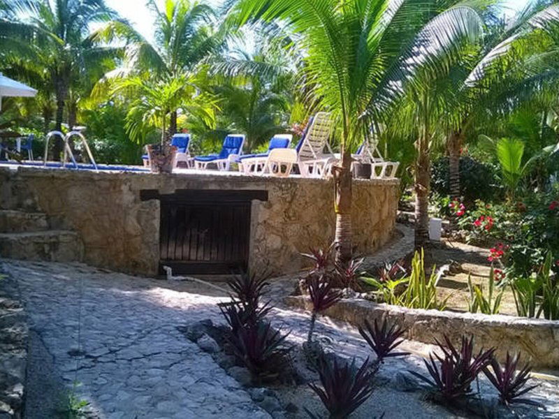 Hotel Casa De Las Tortugas I Tour Akumal