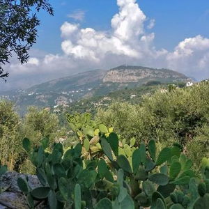 Hotel Gli Ulivi cazare Sant'Agnello