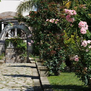 Hotel Villa Don Camillo Relais cazare Sant'Agnello