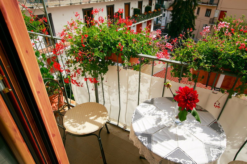 Hotel Nido Verde