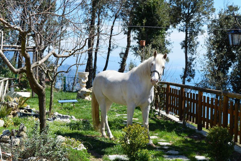 Hotel B&B Miramare