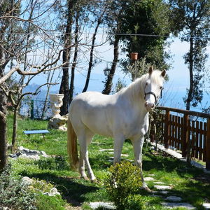 Hotel B&B Miramare cazare Agerola