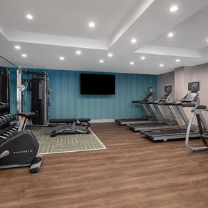 Hotel Holiday Inn Express & Suites Woodside Queens Nyc cazare Woodside