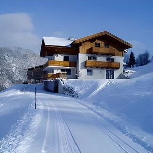 Hotel Erblehenhof cazare Forstau
