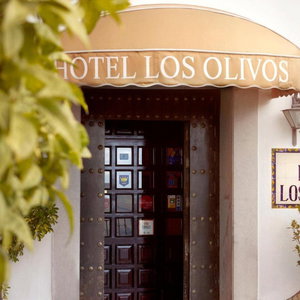 Hotel Los Olivos cazare Arcos de la Frontera