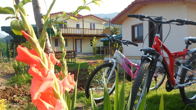 Cirali Flora Pension