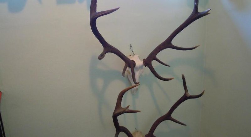 Hotel Herzoggut Pension