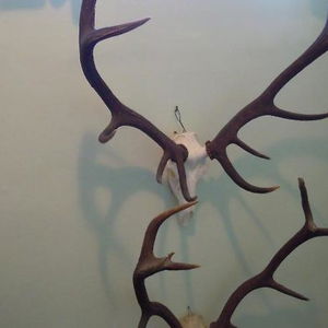 Hotel Herzoggut Pension cazare Zell am See