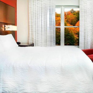 Hotel Residence Inn Albany Washington Avenue cazare Albany