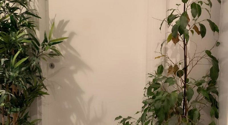 Hotel Ca'rebeka Venice