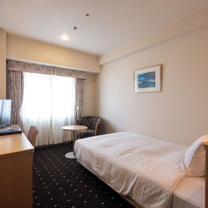 Hotel Hotel Lake Alster Alzar Izumiotsu cazare Izumiotsu