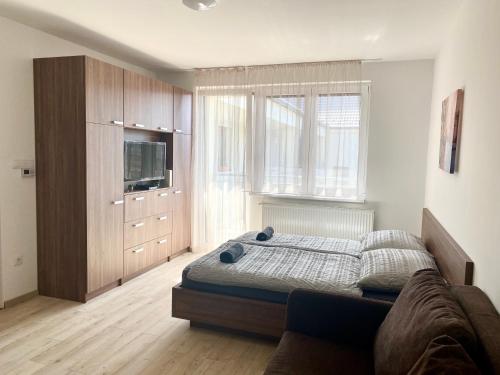 Hotel Hatvan Central Apartment