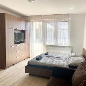 Hotel Hatvan Central Apartment cazare Debrecen